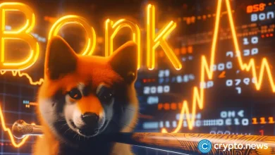 Bonk gears by 10% rally next week