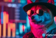 VIF price at risk because an inflow to exchange dogs appear, smart money sells