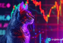 Time of decision-making on a bull popcat - withdrawal or breaking?