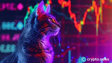 Time of decision-making on a bull popcat - withdrawal or breaking?