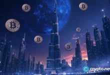 Dubai will accept the CRIPTO for government salaries in a global state