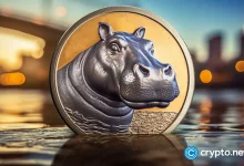 Moodeng sets over 130% because open interest and exchange balances fall