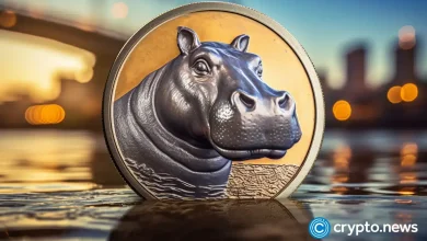 Moodeng sets over 130% because open interest and exchange balances fall