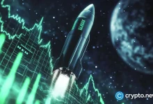 Alpaca token fill 11X adid binance delisting News
