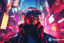 The virtual price of a rare sample indicates 375% increase as smart money