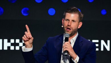 The Trump Family Crypto Venture is eavesdropped as part of the Emirates Investment Agreement