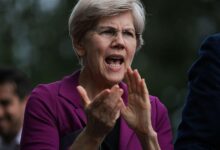 Senate Democrats collects against Cripto Bill in the middle of criticism of Trump's connections in the industry