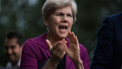Senate Democrats collects against Cripto Bill in the middle of criticism of Trump's connections in the industry