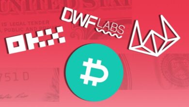 Trump's crypto-friendly friendly Stance Mama for the American market