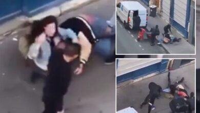 CURRY CEO daughter, Mališana Horrifurically attacked in an attempted kidnappers on the streets of Paris