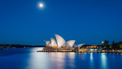 Australian issues a $ 75 million violation of Cripto Exchange Cointree
